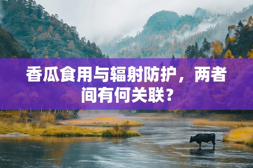 香瓜食用与辐射防护，两者间有何关联？