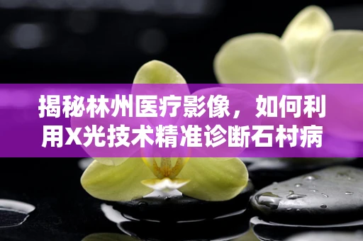揭秘林州医疗影像，如何利用X光技术精准诊断石村病的挑战与策略？