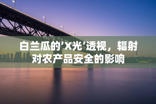 白兰瓜的‘X光’透视，辐射对农产品安全的影响