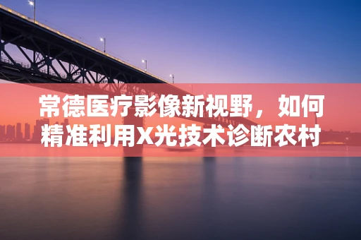 常德医疗影像新视野，如何精准利用X光技术诊断农村地区常见骨折？