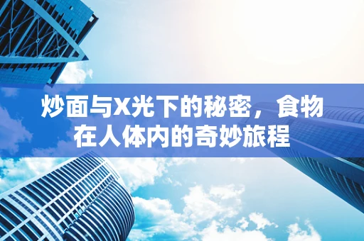 炒面与X光下的秘密，食物在人体内的奇妙旅程