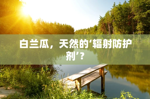 白兰瓜，天然的‘辐射防护剂’？