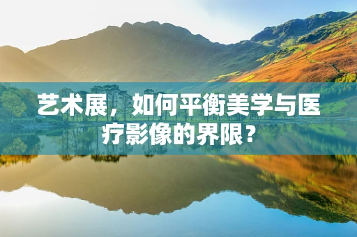 艺术展，如何平衡美学与医疗影像的界限？