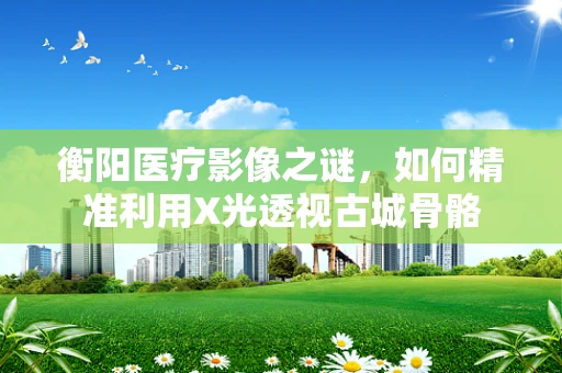 衡阳医疗影像之谜，如何精准利用X光透视古城骨骼