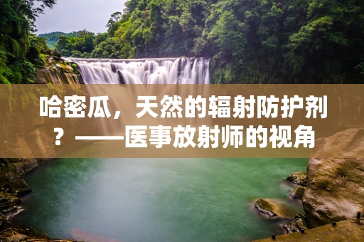 哈密瓜，天然的辐射防护剂？——医事放射师的视角