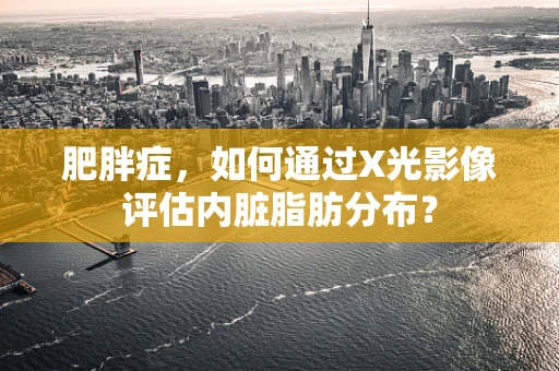 肥胖症，如何通过X光影像评估内脏脂肪分布？