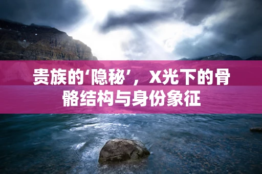 贵族的‘隐秘’，X光下的骨骼结构与身份象征