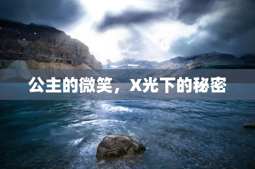 公主的微笑，X光下的秘密