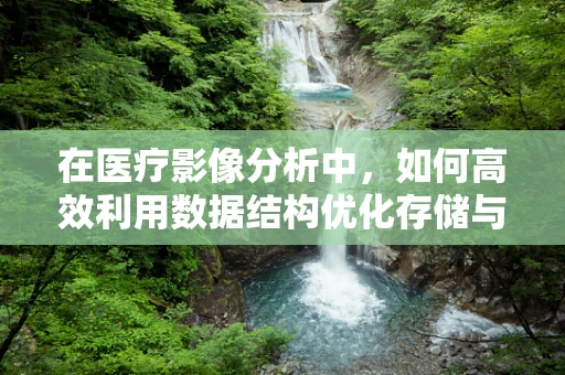 在医疗影像分析中，如何高效利用数据结构优化存储与检索？