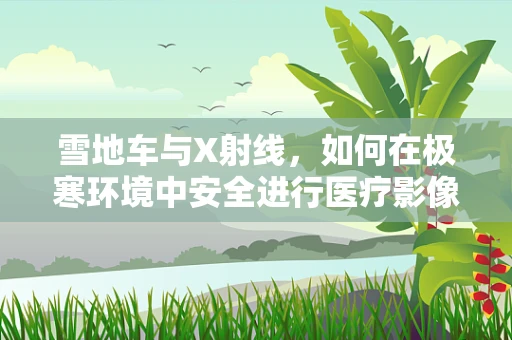 雪地车与X射线，如何在极寒环境中安全进行医疗影像检查？
