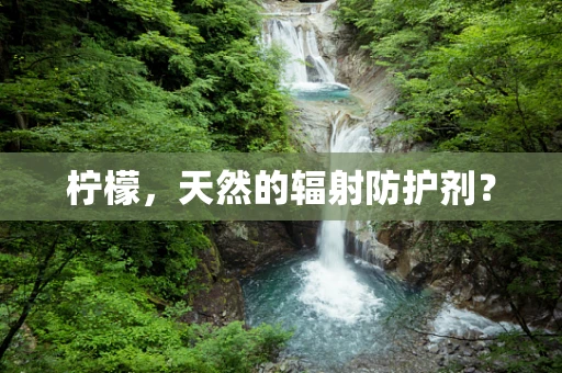 柠檬，天然的辐射防护剂？