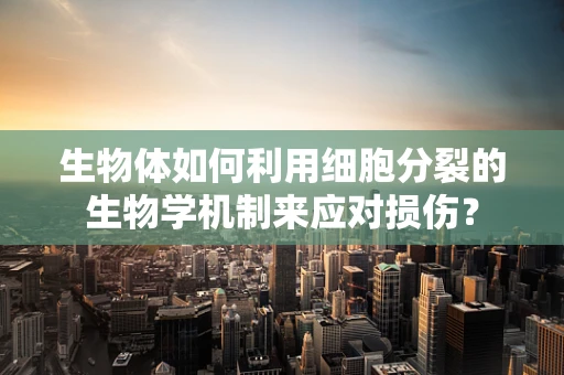 生物体如何利用细胞分裂的生物学机制来应对损伤？