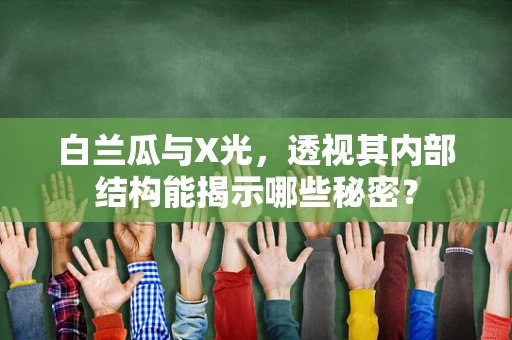 白兰瓜与X光，透视其内部结构能揭示哪些秘密？