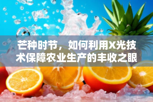 芒种时节，如何利用X光技术保障农业生产的丰收之眼？