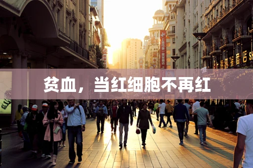 贫血，当红细胞不再红