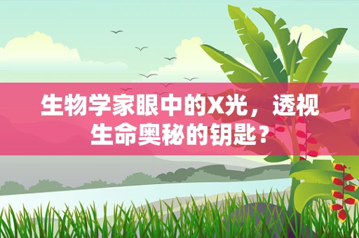 生物学家眼中的X光，透视生命奥秘的钥匙？