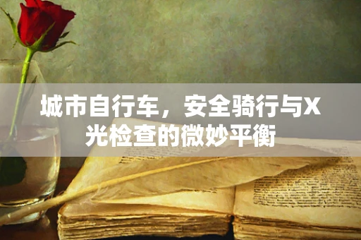 城市自行车，安全骑行与X光检查的微妙平衡