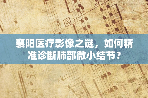 襄阳医疗影像之谜，如何精准诊断肺部微小结节？