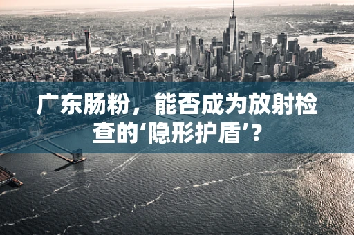 广东肠粉，能否成为放射检查的‘隐形护盾’？