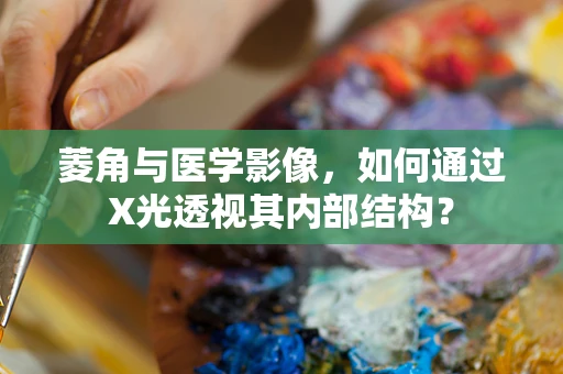 菱角与医学影像，如何通过X光透视其内部结构？