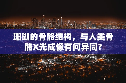 珊瑚的骨骼结构，与人类骨骼X光成像有何异同？