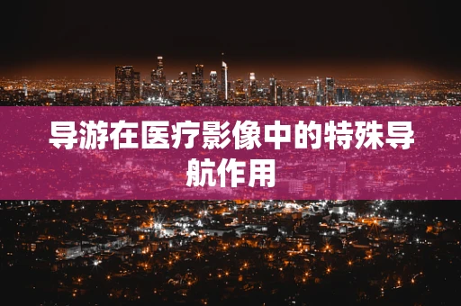 导游在医疗影像中的特殊导航作用