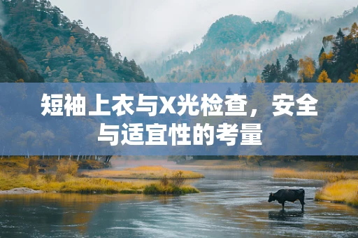 短袖上衣与X光检查，安全与适宜性的考量