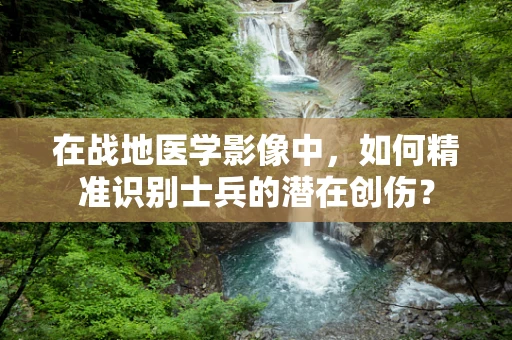 在战地医学影像中，如何精准识别士兵的潜在创伤？
