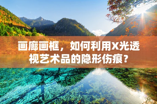 画廊画框，如何利用X光透视艺术品的隐形伤痕？