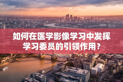 如何在医学影像学习中发挥学习委员的引领作用？