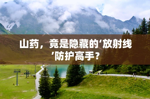 山药，竟是隐藏的‘放射线’防护高手？