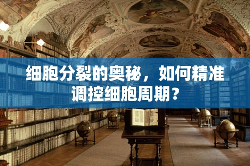 细胞分裂的奥秘，如何精准调控细胞周期？