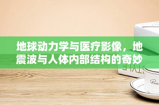 地球动力学与医疗影像，地震波与人体内部结构的奇妙联系