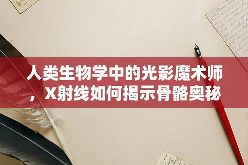 人类生物学中的光影魔术师，X射线如何揭示骨骼奥秘？