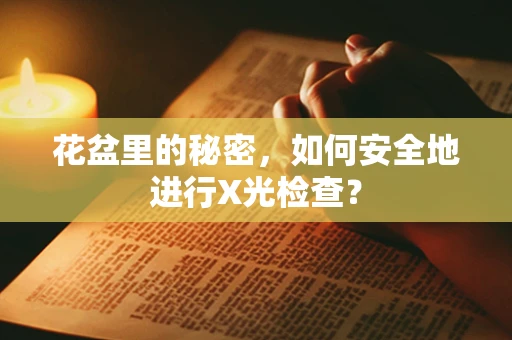 花盆里的秘密，如何安全地进行X光检查？
