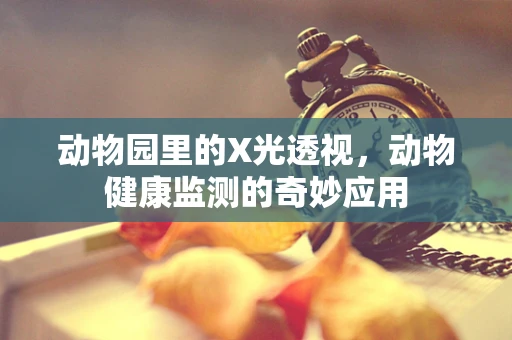动物园里的X光透视，动物健康监测的奇妙应用