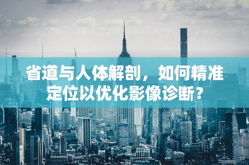 省道与人体解剖，如何精准定位以优化影像诊断？