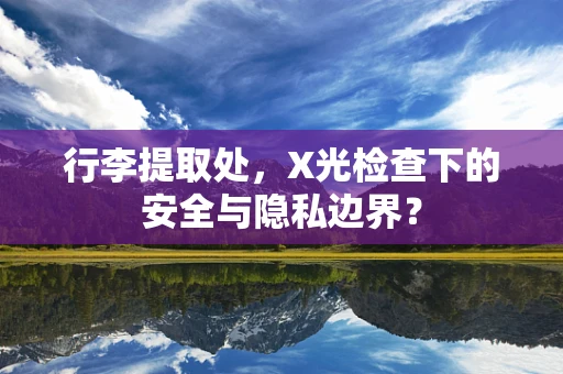 行李提取处，X光检查下的安全与隐私边界？