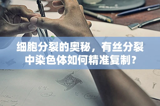细胞分裂的奥秘，有丝分裂中染色体如何精准复制？