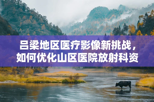 吕梁地区医疗影像新挑战，如何优化山区医院放射科资源分配？
