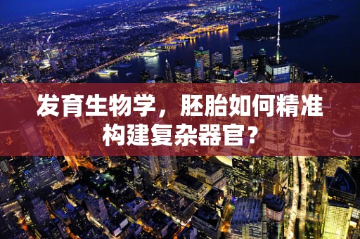 发育生物学，胚胎如何精准构建复杂器官？