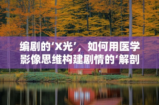 编剧的‘X光’，如何用医学影像思维构建剧情的‘解剖学’？