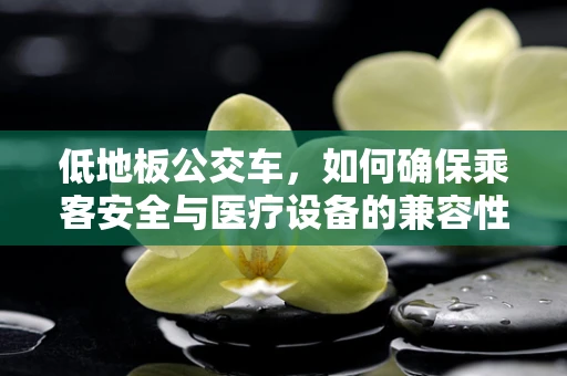 低地板公交车，如何确保乘客安全与医疗设备的兼容性？
