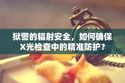 狱警的辐射安全，如何确保X光检查中的精准防护？