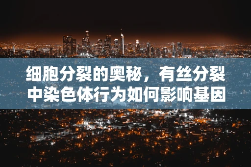 细胞分裂的奥秘，有丝分裂中染色体行为如何影响基因表达？