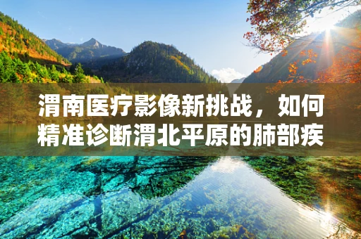 渭南医疗影像新挑战，如何精准诊断渭北平原的肺部疾病？
