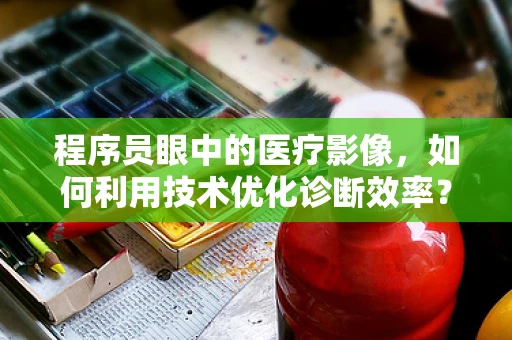 程序员眼中的医疗影像，如何利用技术优化诊断效率？