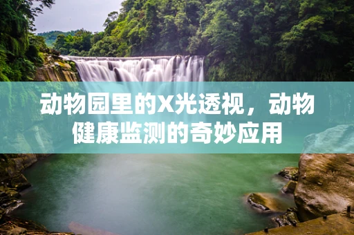 动物园里的X光透视，动物健康监测的奇妙应用