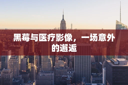 黑莓与医疗影像，一场意外的邂逅