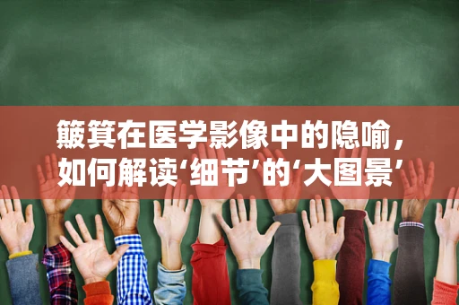 簸箕在医学影像中的隐喻，如何解读‘细节’的‘大图景’？